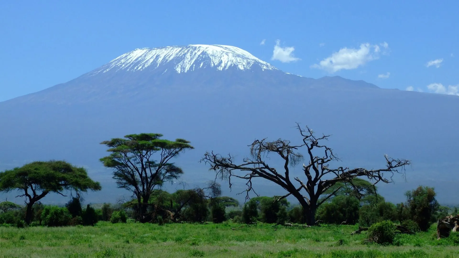 Kilimanjaro Umbwe Route — 6 Days